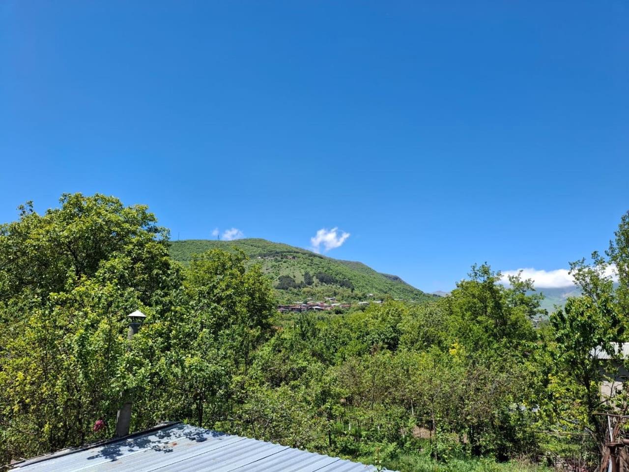 Center Ξενοδοχείο Goris Εξωτερικό φωτογραφία