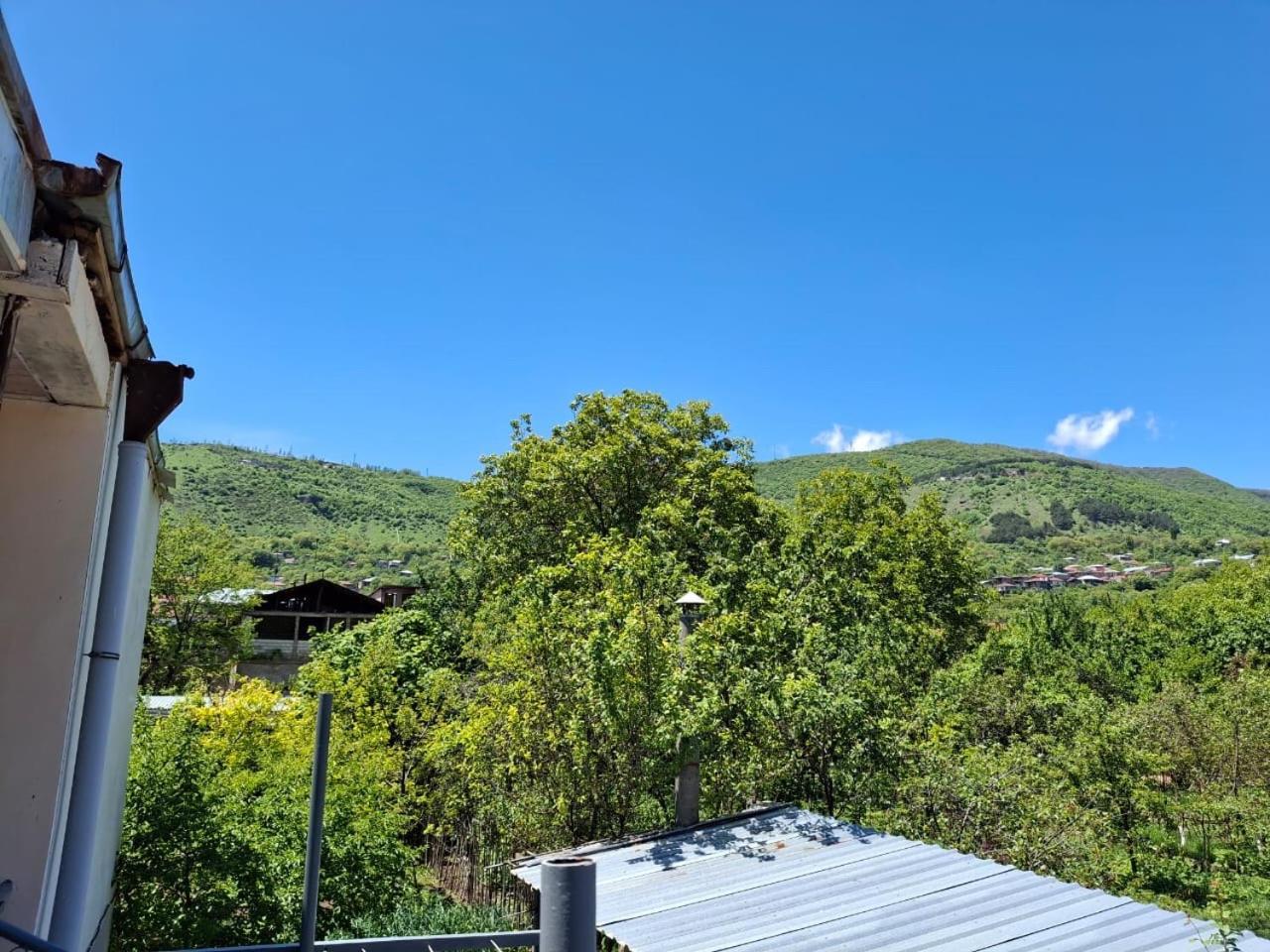 Center Ξενοδοχείο Goris Εξωτερικό φωτογραφία