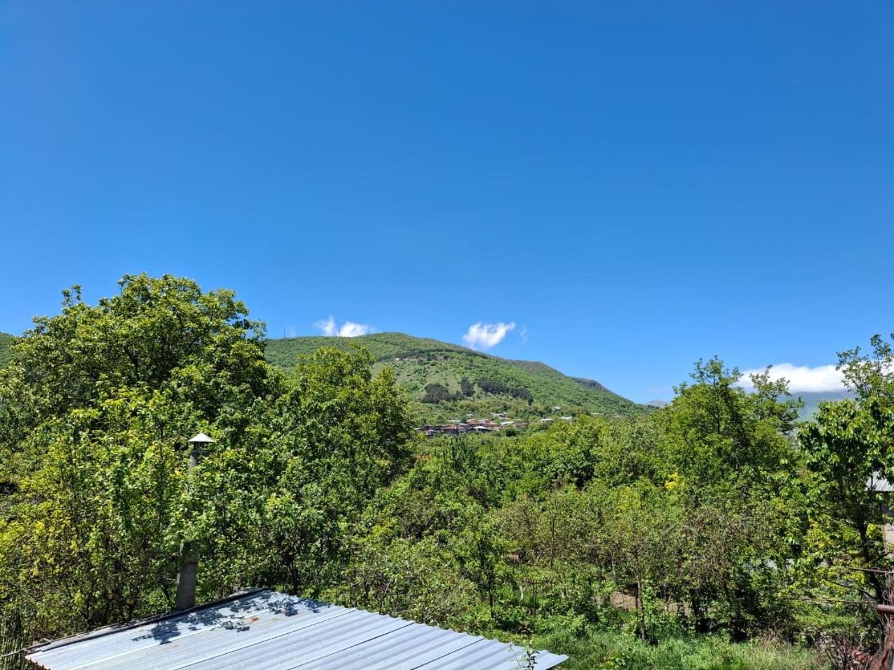 Center Ξενοδοχείο Goris Εξωτερικό φωτογραφία
